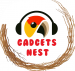 Learn With Gadgetsnest